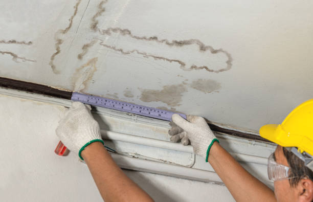 Reliable Water Damage contractor in Madison, WV by Water Damage Irwin